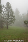 Hullett, Wyoming foggy day, greeting card, blank inside , envelope included