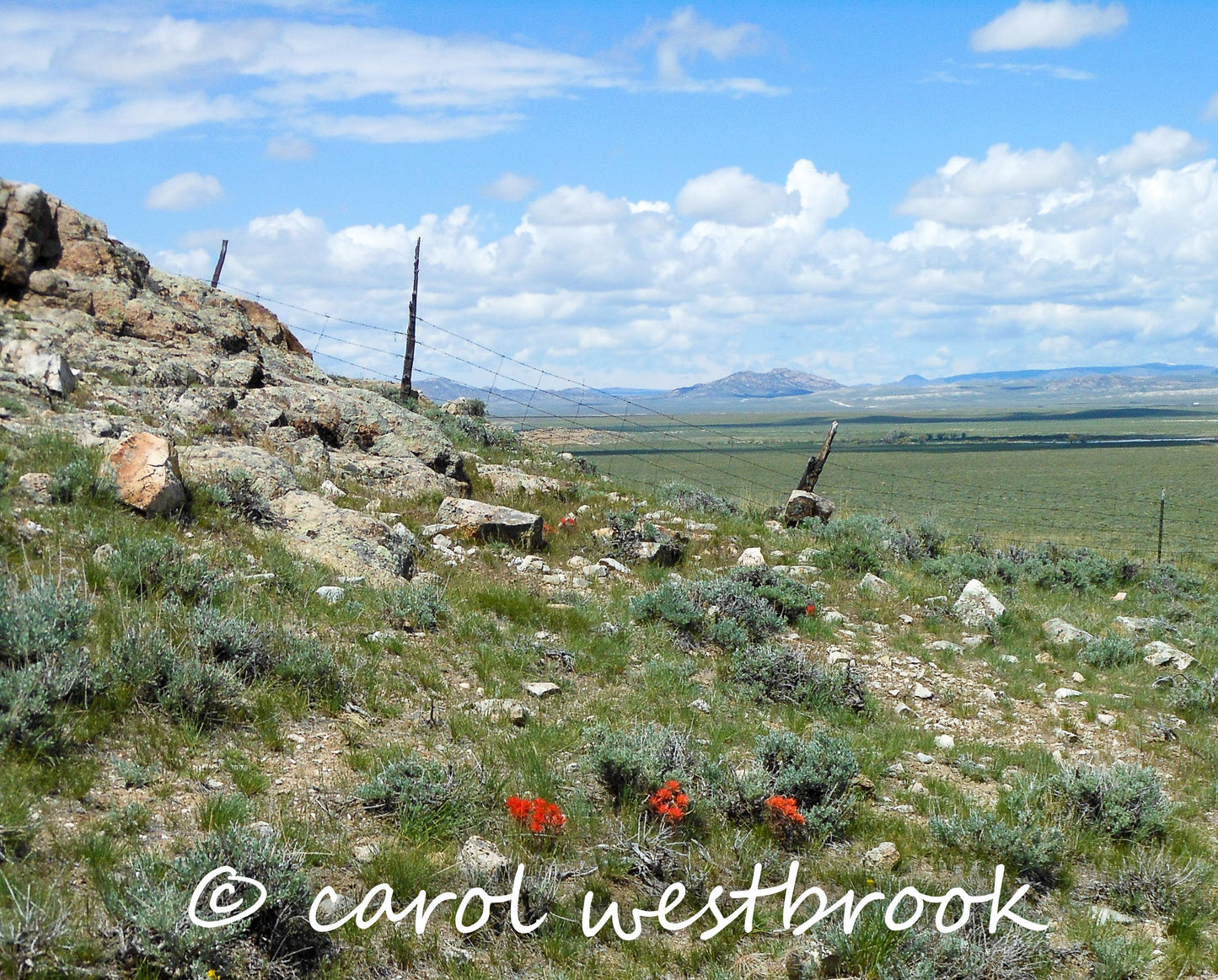 Rattlesnake Range Photo