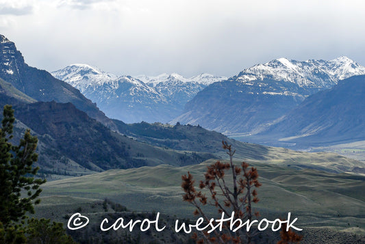 South Fork of the Shoshoni River looking west roward Yellowstone, greeting card 5 x 7", blank inside, envelope included