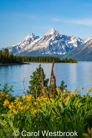 Grand Teton Mountains over Coulter Bay, Wy on metal print