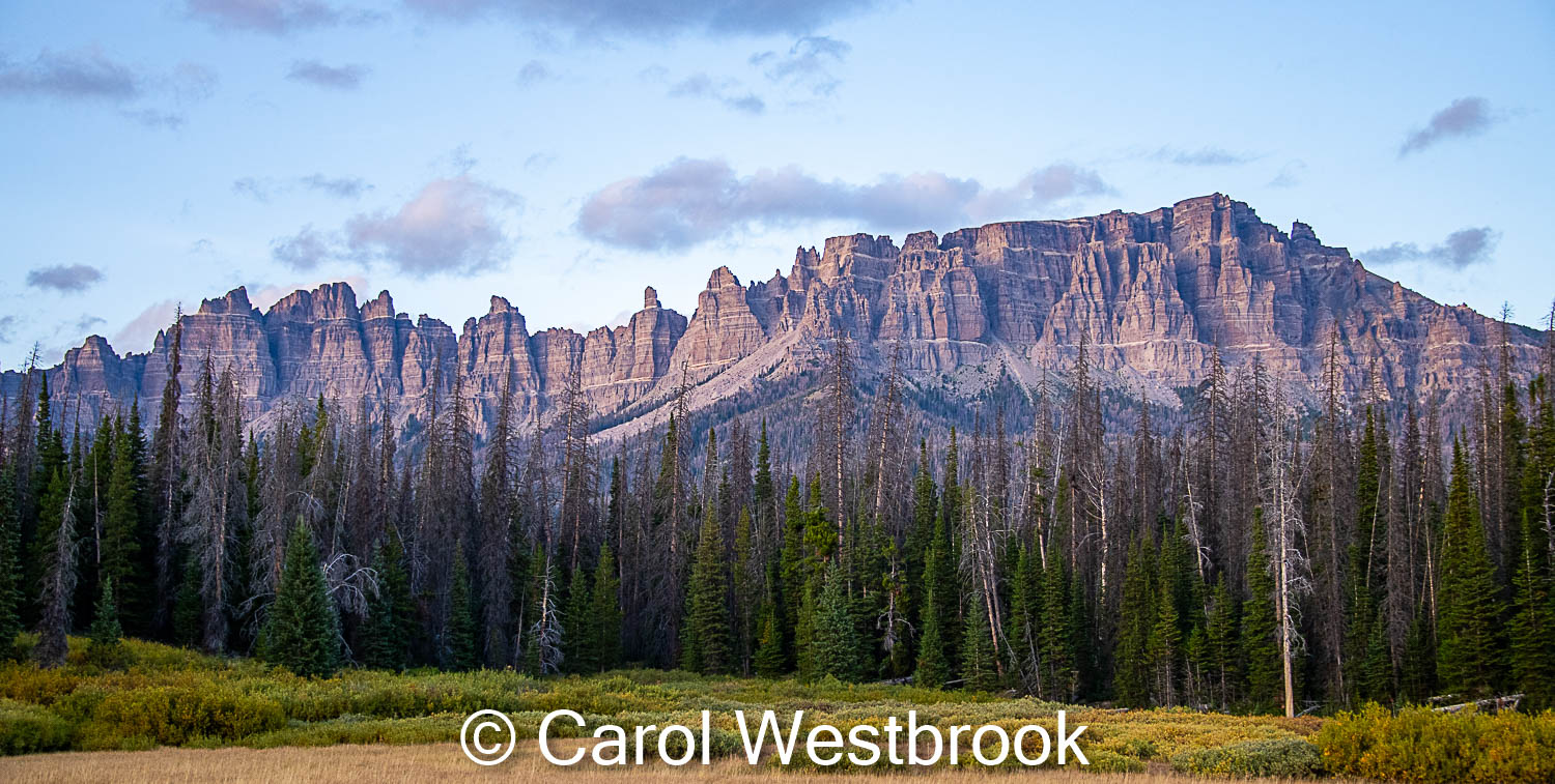 Sentinels On A Summer Evening / Photo On Metal Photographer: Carol Westbrook Beautiful photo of the Sentinels of the Grand Teton Mountain Range in Wyoming  Photo on HD Metal   24" wide x 12" high  Black Aluminum Mount  Wire hanger with D-ring  Would make a great addition to any collection