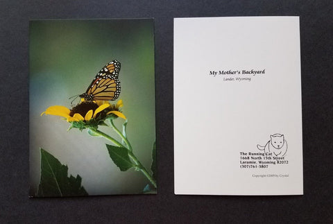 Monarch Butterfly on a Sunflower photo, greeting card, Crystal Lawrence, set of 4 with envelopes, blank inside