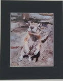 " Curiosity " Squirrel Matted Print