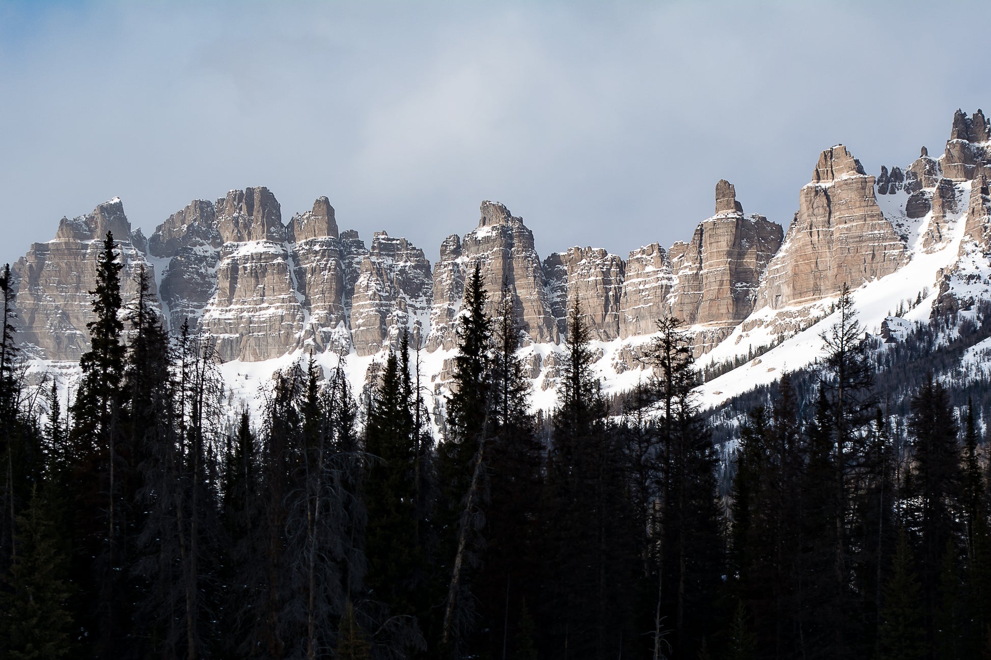 Sentinels in Winter Photography Photographer: Carol Westbrook Photo on Metal of the Sentinels on Togwotee Pass  (Breccia Cliffs) outside of Dubois, Wyoming  Winter scene  Photo on Metal  30" x 16"  Black Aluminum Mount        Laramie Chamber Spring 2022 Exhibit