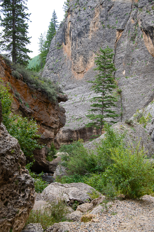 Crazy Woman Canyon metal photo