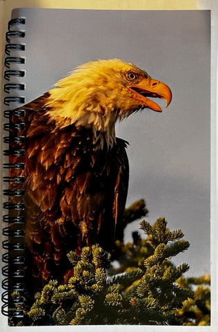 Bald Eagle Journal Photographer: Jason Sondgeroth  8" x 5.5"  Picture of bald eagle in top of a pine tree  Spiral Journal  Lined pages