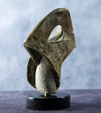 " Fish Tale " Wyoming Alabaster Sculpture