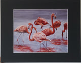 " Flamboyance " Flamingo Matted Print