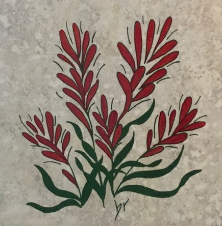  "Indian Paintbrush" Hexagonal Trivet Artist: Elizabeth Rulli A recycled trivet from Habitat for Humanity ReStore   Hand painted and fired to 1375 degrees for permanence  Will clean with scouring powder if a pan leaves a mark  Indian Paintbrush hand painted on each trivet