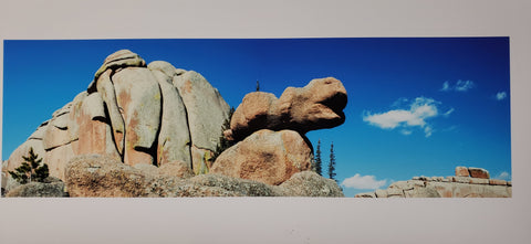 Vedauwoo Northeast Nautilus Photo Card 4 x 9 Photographer: Susan Davis  The Nautilus is the Turtle Rock in Vedauwoo Wyoming, just outside of Laramie, WY   Vedauwoo northeast Nautilus photo 4" x 9" Panoramic Card  Blank inside  Comes in a protective, clear sleeve
