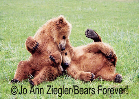 " Buddies " Grizzly Bear Cubs Photographer: Jo Ann Ziegle  Travel in style and always find your luggage with these  Unique Luggage ID tags  The hard-plastic Luggage ID tags are 2 3/4” x 4” in size  Hard Plastic tag  Comes with clear PVC strap  ID tags: use on your luggage, backpack, yoga bag, instrument case, anywhere you need to find your pack quickly