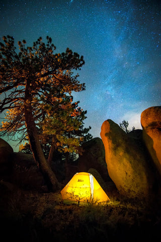 tree and rocks illuminated by the light coming from a tent with a beautiful night sky full of stars.