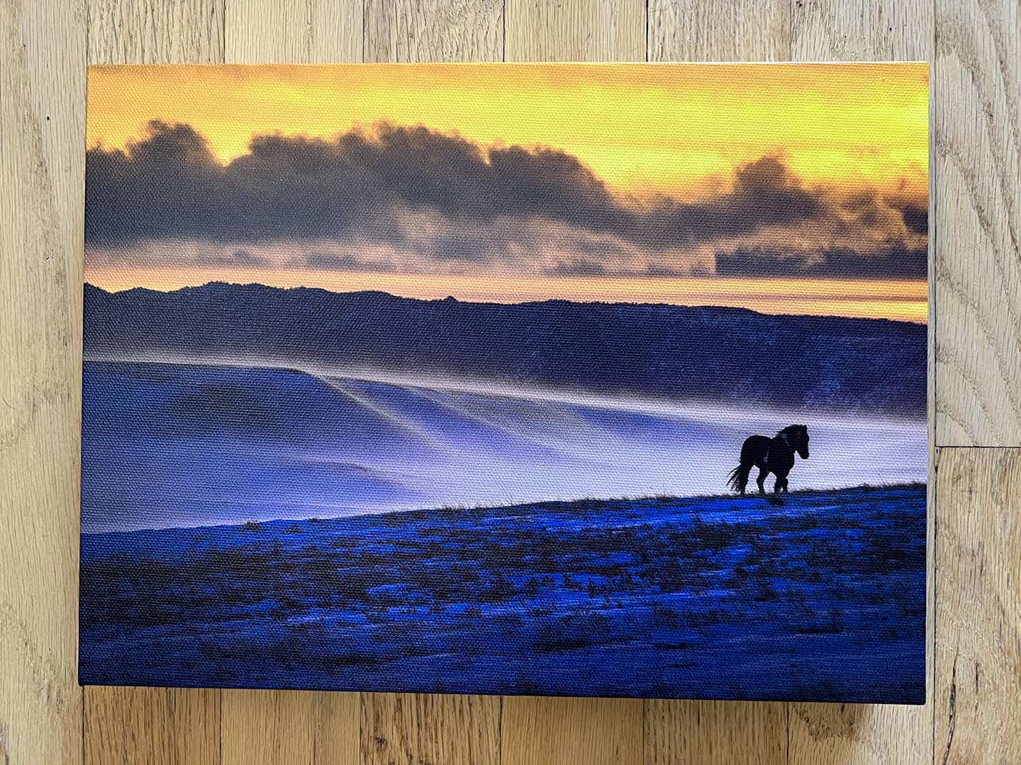 " Blizzard Horse " Small Canvas Print