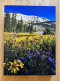 " Snowy Range Wildflower " Small Canvas Print
