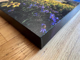 " Snowy Range Wildflower " Small Canvas Print