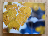 " Aspen Fall Frost " Small Canvas Print