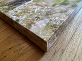" Prairie Dog " Small Canvas Print