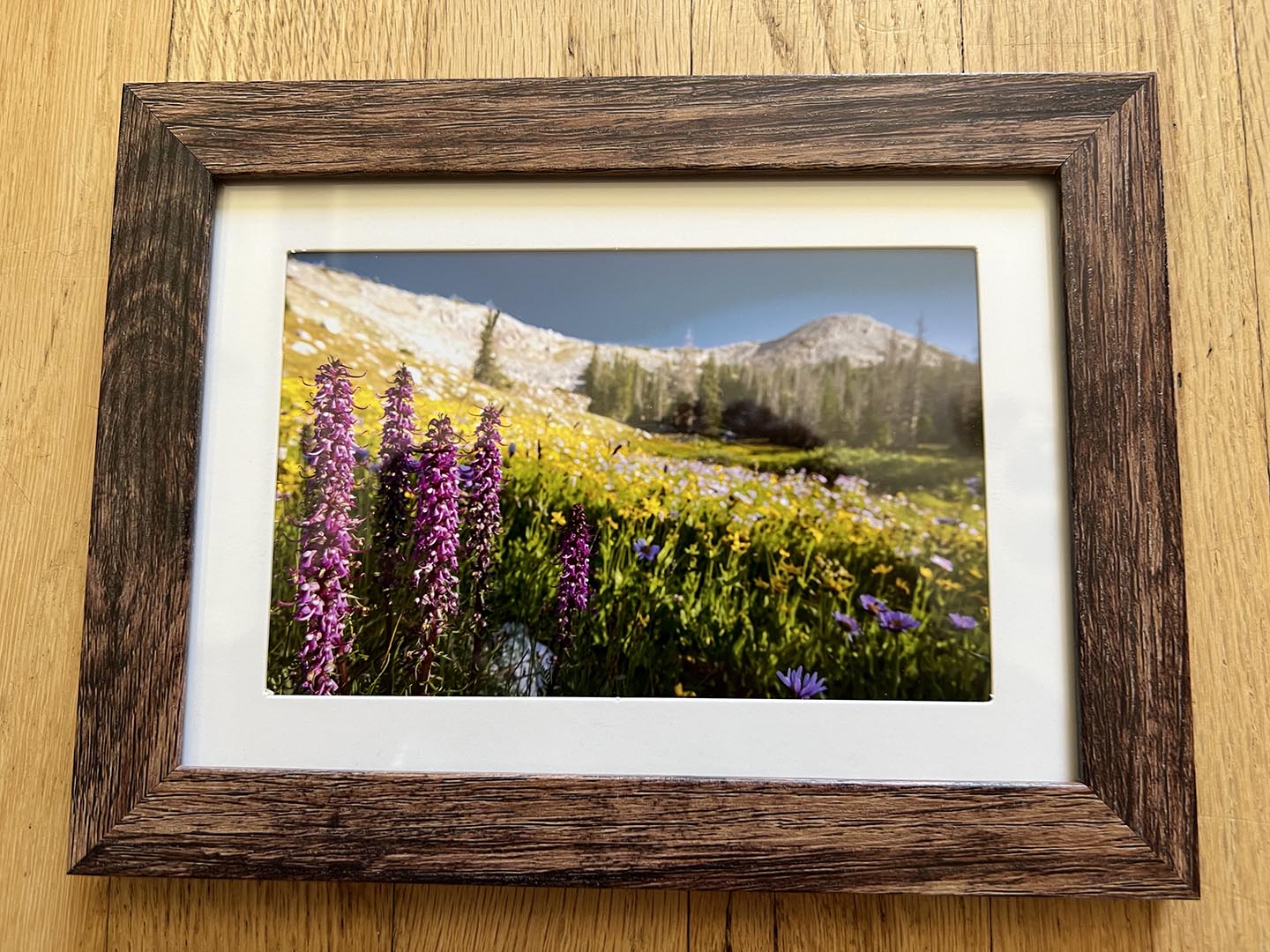 " Alpine Wildflowers " Photographer: Kyle Spradley   Small Wood Frame with Matte