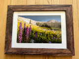 " Alpine Wildflowers " Photographer: Kyle Spradley   Small Wood Frame with Matte