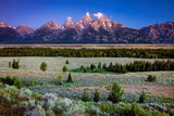 " Teton Morning " Framed Photo