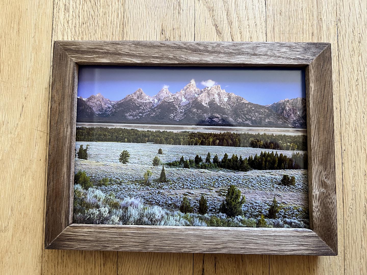 " Teton Morning " Framed Photo