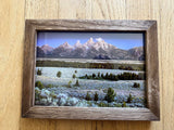 " Teton Morning " Framed Photo