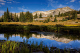 " Medicine Bow Summer Pond " Lustre Print