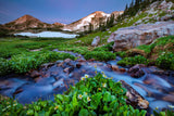 Sunrise along a snowmelt creek along the Gap Lake Trail in the Snowy Range Mountains  Sugarloaf Mountain on the left, Medicine Bow Peak to the right  White Marsh Marigolds are in bloom along the water