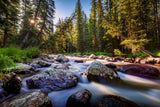 " West Tensleep Creek " Lustre Print