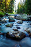 " Bighorn Creek  " Lustre Print Fast flowing water tumbling over lichen covered rocks as it winds it's way through the Big  Horn Mountains.