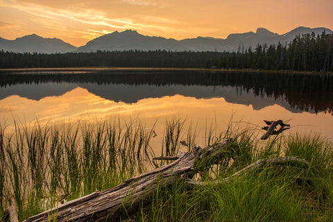 " Black Joe Lake " Luster Print