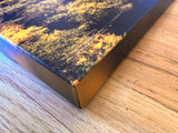 " Fall Aspen at Vedauwoo " Small Canvas Print