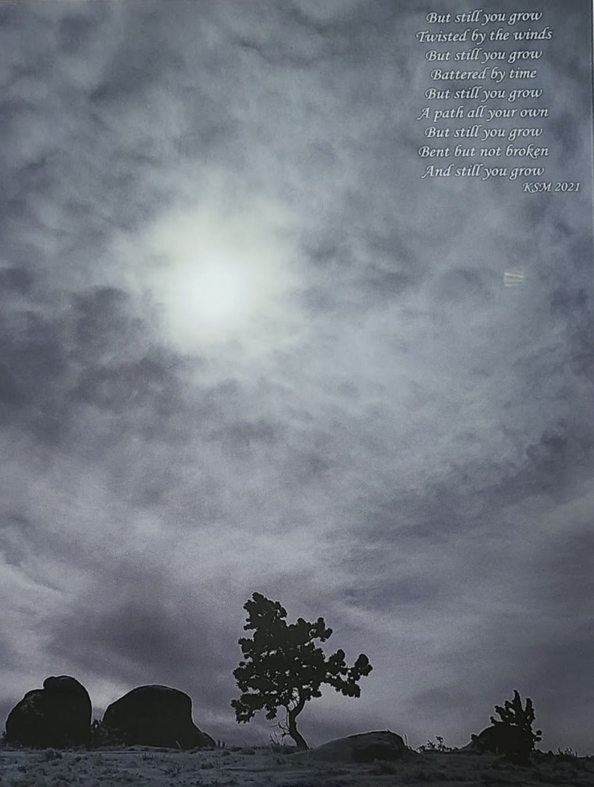 glass photo. twisted tree in Vedauwoo Wyoming. Poem written by the artist.