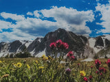 " Snowy Range Splendor " Glass Print