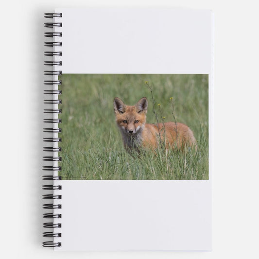 Young Fox Kit Spiral Notebook Artist: Kathleen Milks Lined spiral notebook  Cover of the notebook is a photograph of a young fox kit in the grass  Perfect notebook as a journal  5 1/2" long x 8 1/2" high x 1/2" wide  Please note photograph was taken by the artist