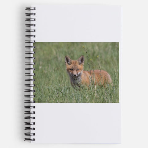 Young Fox Kit Spiral Notebook