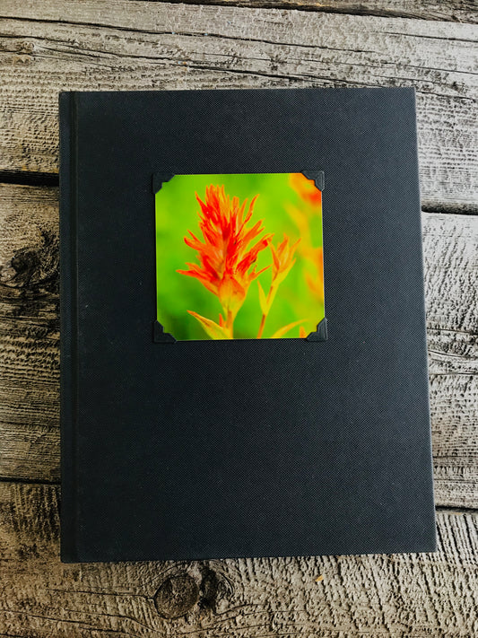 Indian Paintbrush Large Black Sketchbook