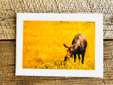 Various Handmade Photographic Greeting Cards