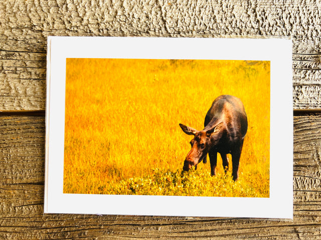 Various Handmade Photographic Greeting Cards