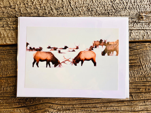 Various Handmade Photographic Greeting Cards