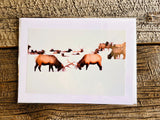 Various Handmade Photographic Greeting Cards