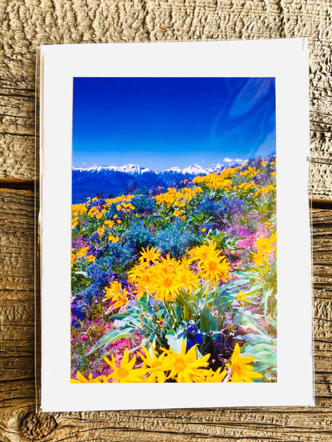 Various Handmade Photographic Greeting Cards