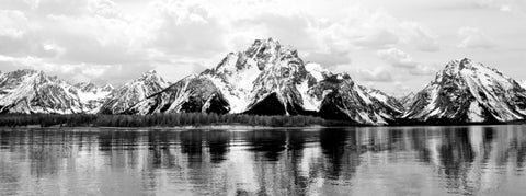 Mount Moran Metal Print