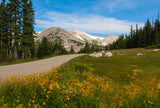 Sugarloaf mountain in the Snowy Range of Wyoming
