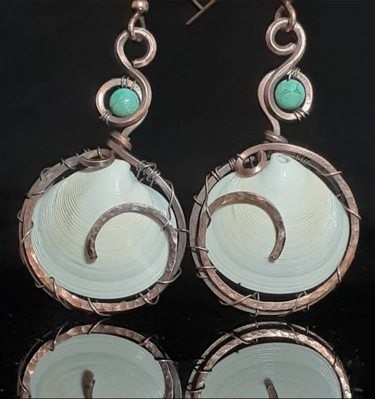 Sea Shell Earrings