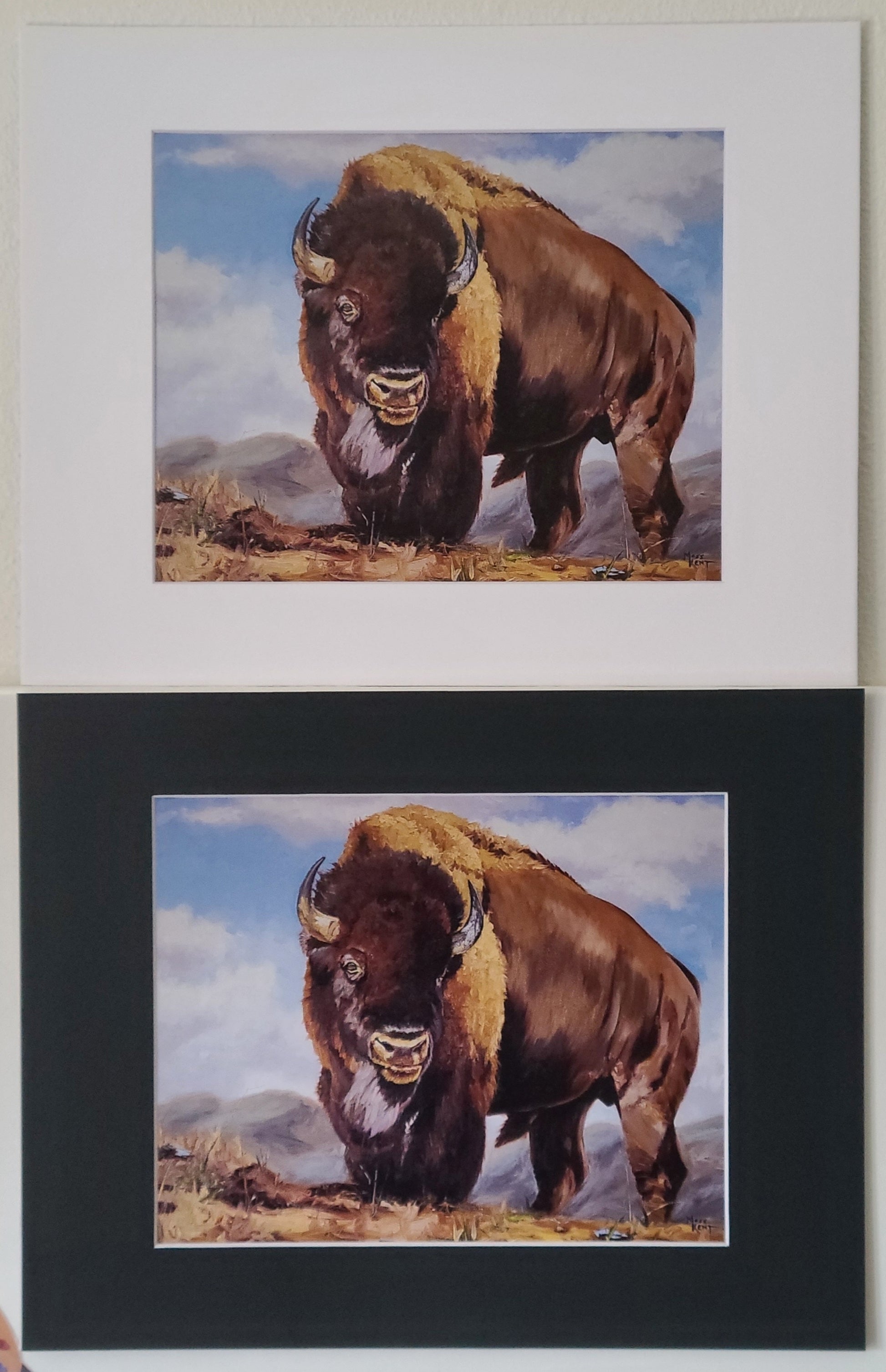 " Lord Of The Plains " Single Bull Bison Matted Print