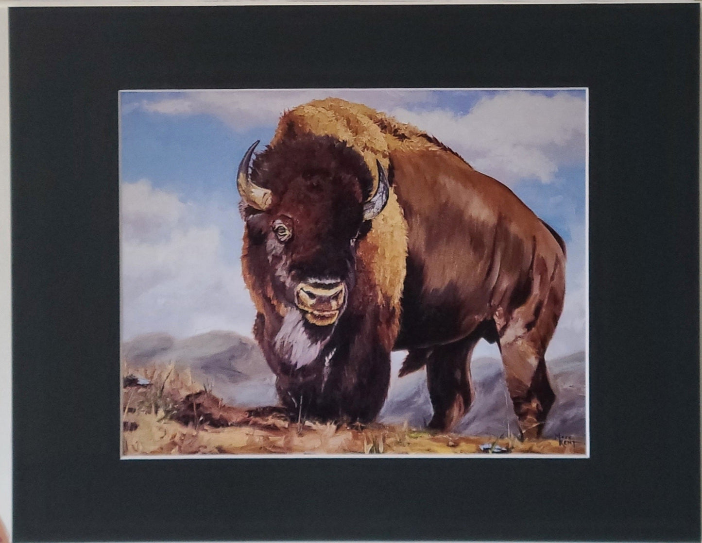 Matted Print- "Lord Of The Plains" Single Bull Bison