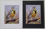 " Meadowlark " Matted Print