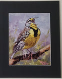 " Meadowlark " Matted Print