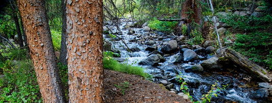 North Fork Of Little Laramie River